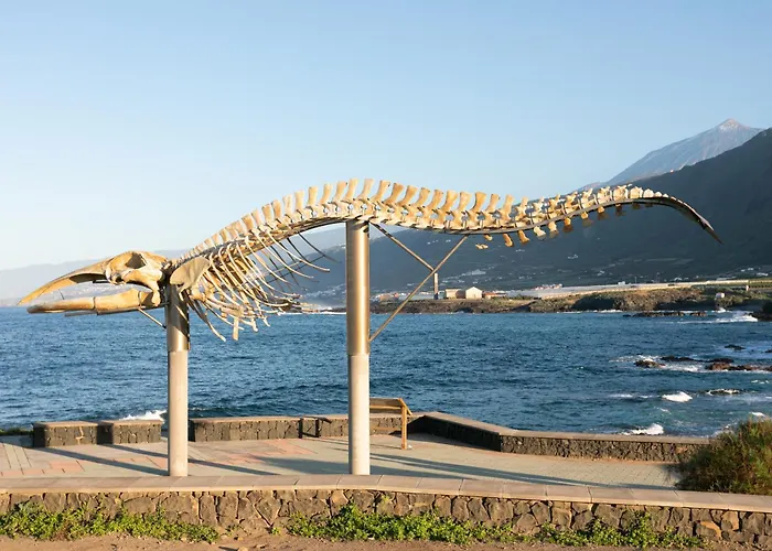 Διαμέρισμα Tenohomes Casa Ela, Charming Garachico