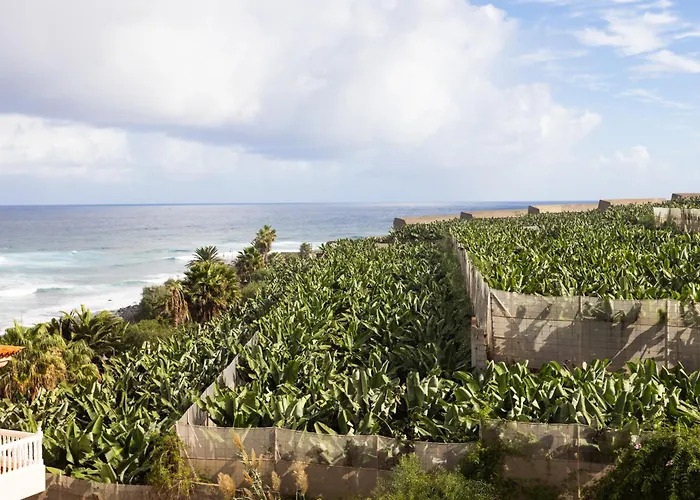 Tenohomes Casa Ela, Charming Garachico Apartamento